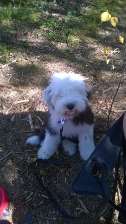 Pampula turistina vesipelastuskisassa